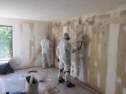 Best Emergency Mold Remediation  in Detroit Lakes, MN